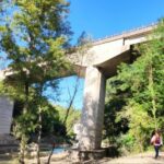 Lavori di manutenzione straordinaria del Ponte per attraversamento del fiume Arno